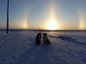 Sun Dogs