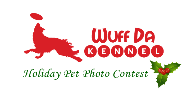 Holiday Pet Photo Contest